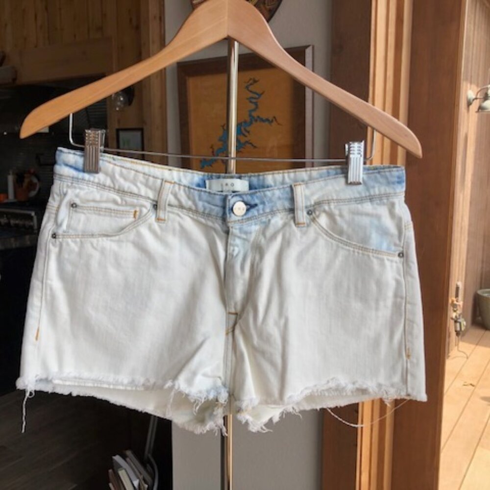 IRO Distressed Shorts (Sz 30)